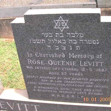 LEVITT Rose Queenie -1987