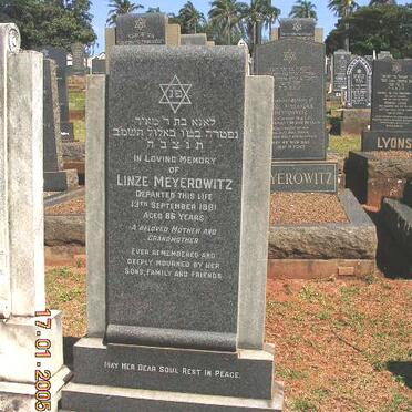 MEYEROWITZ Linze -1981