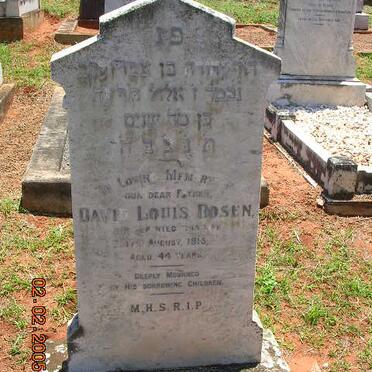 ROSEN David Louis -1915