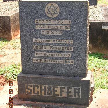 SCHAEFER Georg 1877-1944