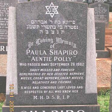 SHAPIRO Paula -1982