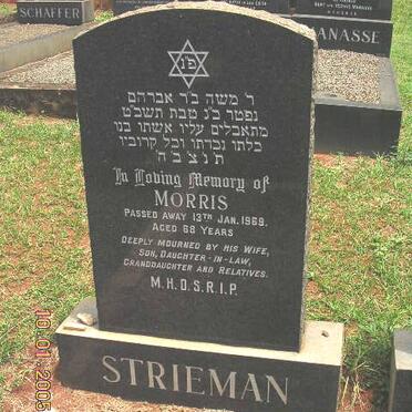 STRIEMAN Morris -1969