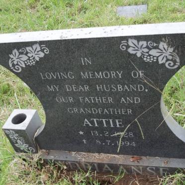 ADRIAANSE Attie 1928-1994