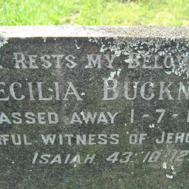 BUCKNALL Cecilia -1973