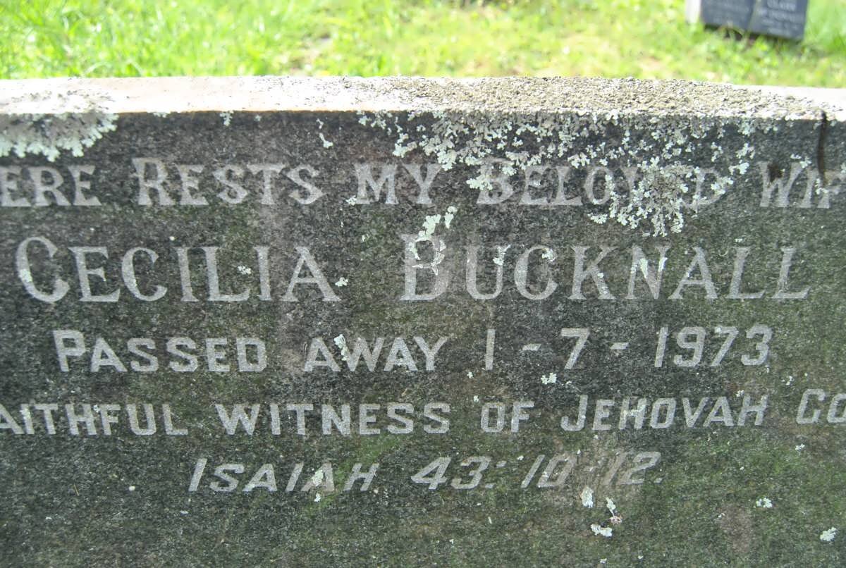 BUCKNALL Cecilia -1973