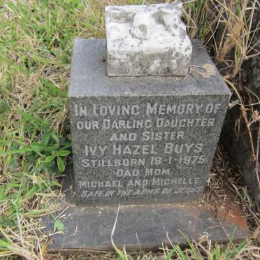 BUYS Ivy Hazel 1975-1975