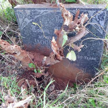 BULLINAR Jaoquin Simoes -1949 &amp; Maria Elizabeth -1957