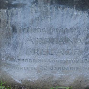 BRELAGE Adriana 1963-1965