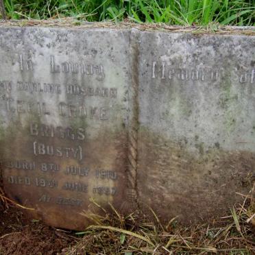 BRIGGS Cecil Croke 1910-1957