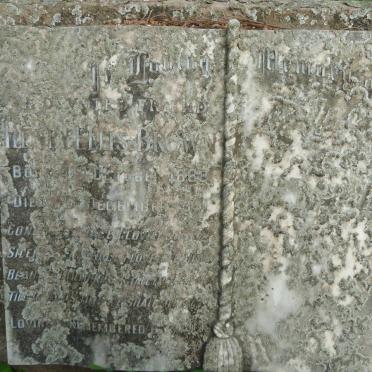 BROWN Henry Ellis 1888-1951 