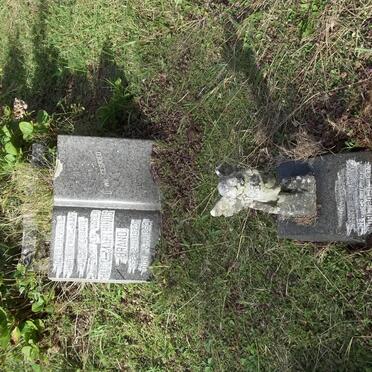 BRAND Hugo Marthinus 1920-1960 :: BRAND Tanya 1977-1977