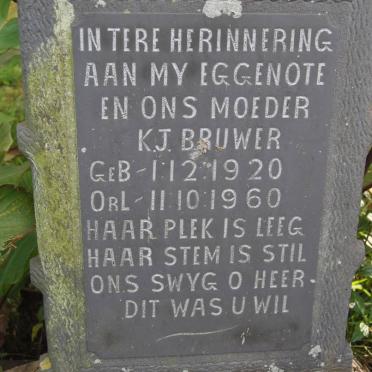 BRUWER K.J. 1920-1960