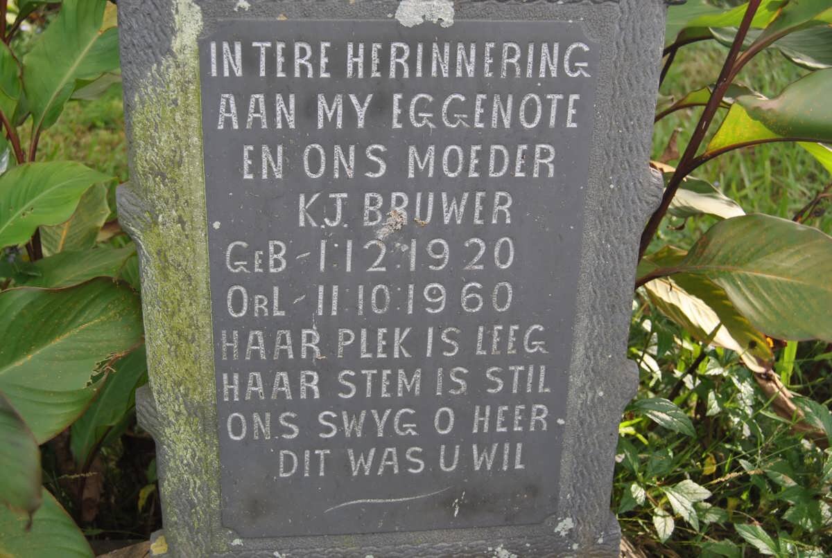 BRUWER K.J. 1920-1960