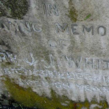 WHITELAW Mary J.J. -1950