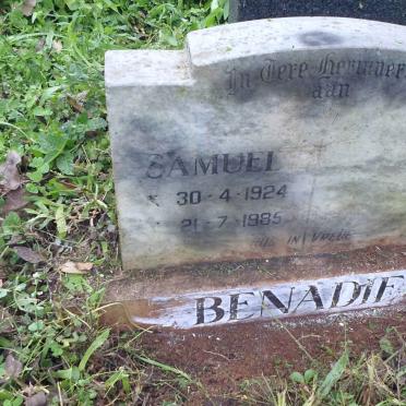 BENADIE Samuel 1924-1985