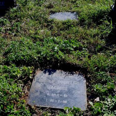 BEZUIDENHOUT Rudolph Cornelius Jacobus 1928-1972 :: BEZUIDENHOUT Rudolf Cornelius 53-90