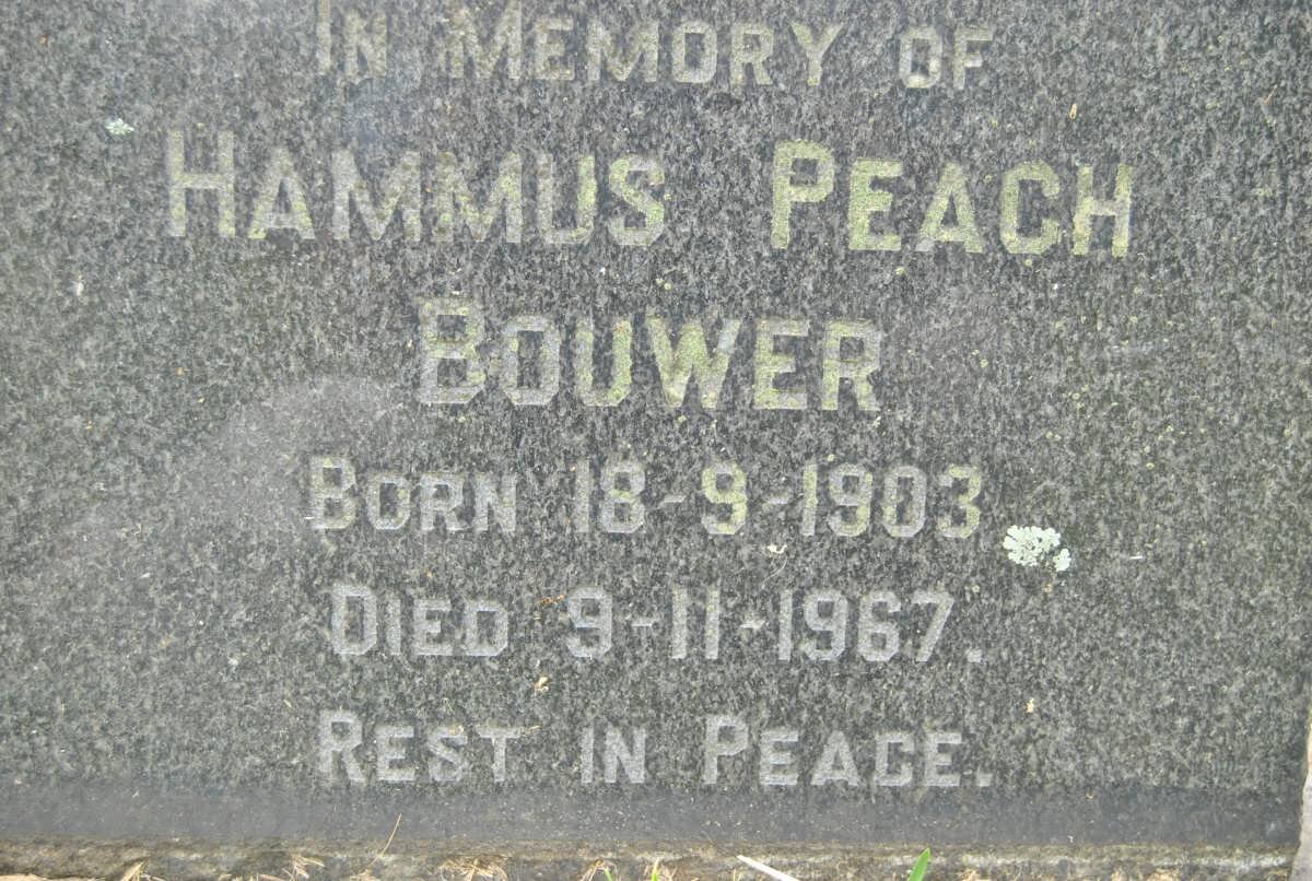 BOUWER Hammus Peach 1903-1967