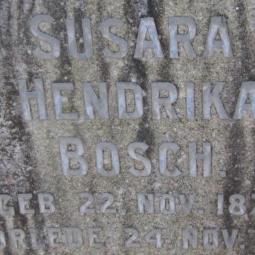 BOSCH Susara Hendrika 1879-1957