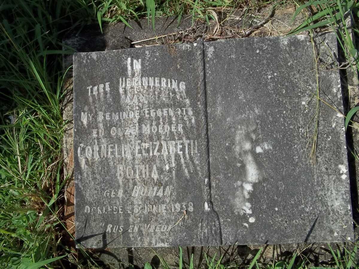 BOTHA Cornelia Elizabeth nee HUMAN -1938