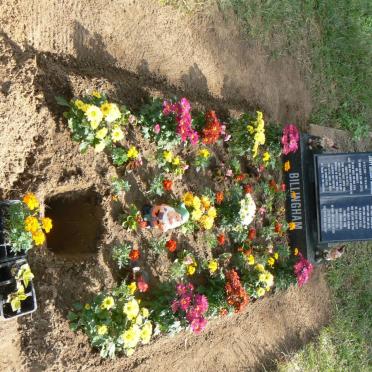 BILLINGHAM Jonty Gregory Norman 2011-2011 