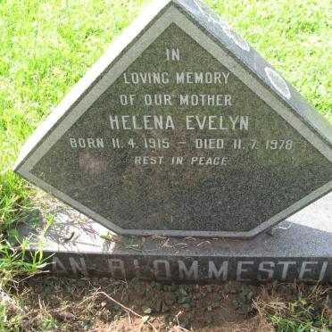 BLOMMESTEIN Helena Evelyn, van 1915-1978