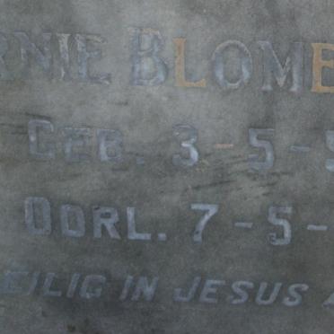 BLOMEYER Ernie 1956-1956