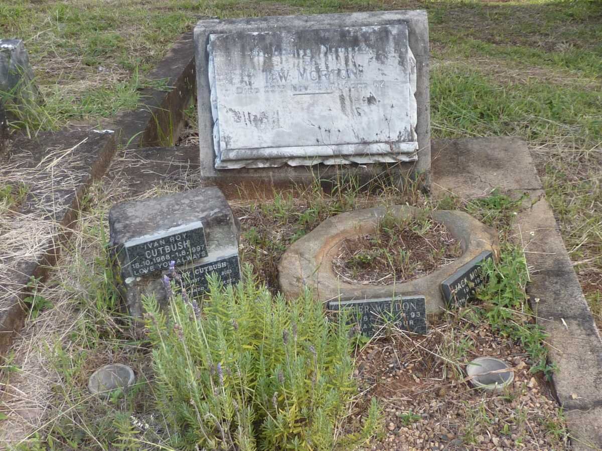 CUTBUSH :: MORTON :: WELDON