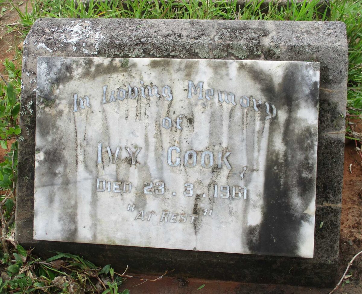 COOK Ivy -1961