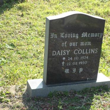 COLLINS Daisy 1924-1950
