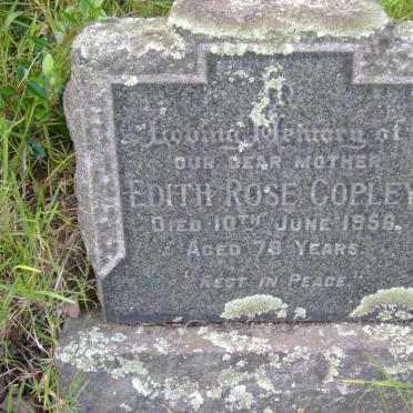 COPLEY Edith Rose -1956