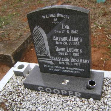 COOPER Arthur James -1965 &amp; Eva -1942 :: COOPER David Ludvick -1967 &amp; Anastasia Rosemary -1977