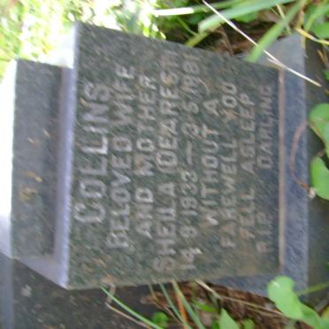 COLLINS Sheila 1933-1981