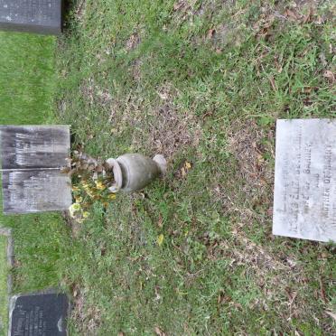 COHEN Gladys Elizabeth -1974 :: SELBY Johanna Magdalena -1967