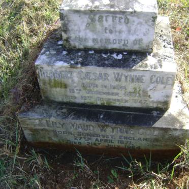 COLE Herbert Caesar, WYNNE 1870-1947 &amp; Lily Maud 1871-1964 