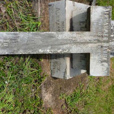 COX Alexander Barbe -1949