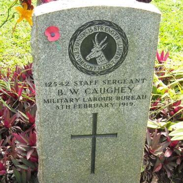 CAUGHEY B.W. -1919