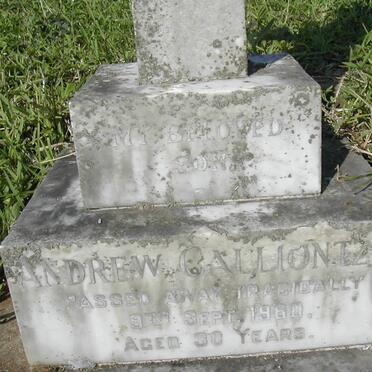 CALLIONTZIS Andrew -1960