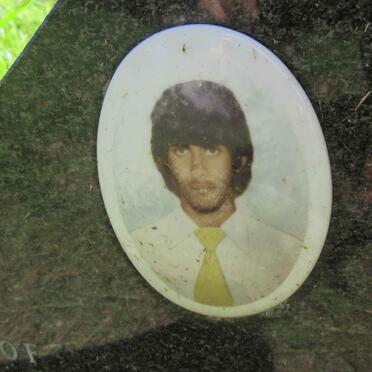 CARLS Gary Mark 1960-1979