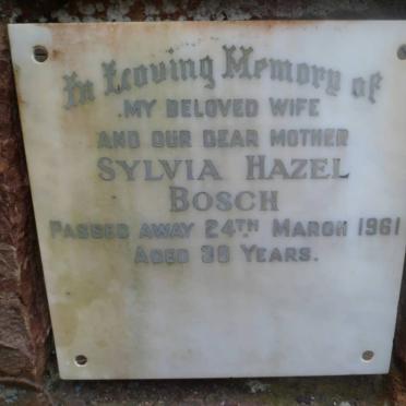 BOSCH Sylvia Hazel -1961