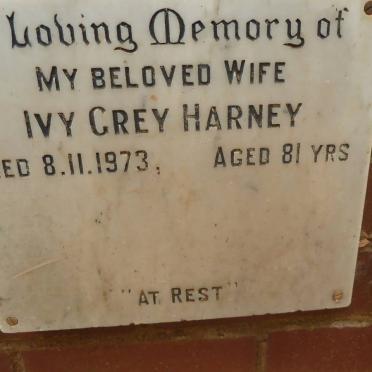 HARNEY Ivy Grey -1973