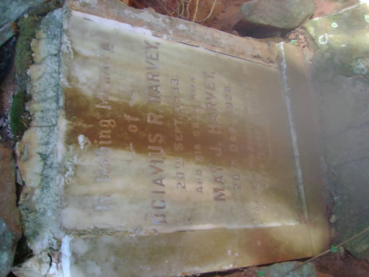 HARVEY Octavius R. -1933 &amp; May J. -1928