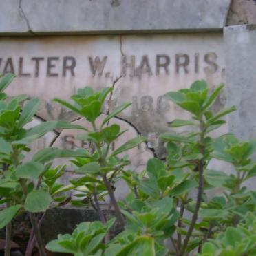 HARRIS Walter W. 1869-1933