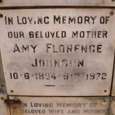 JOHNSON Amy Florence 1894-1972