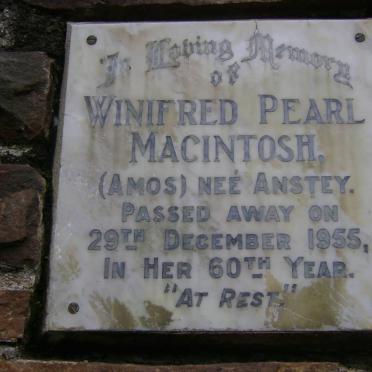 MACINTOSH Winifred Pearl nee ANSTEY -1955