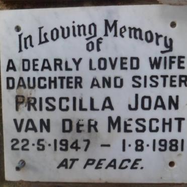 MESCHT Priscilla Joan, van der 1947-1981