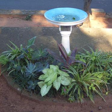 MITCHELL Basil Roberts 1913-1978 &amp; Caroline Lettie 1915-1995 :: MITCHELL Victor Richard 1941-2005