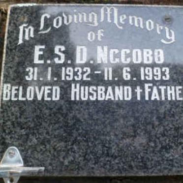 Ng - Surnames starting with the letters Ng