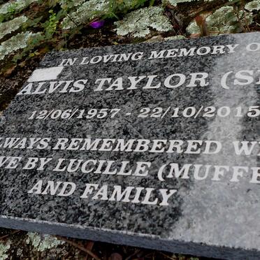 TAYLOR Alvis 1957-2015