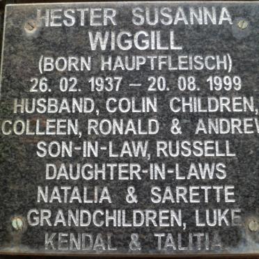 WIGGILL Hester Susanna nee HAUPTFLEISCH 1937-1999