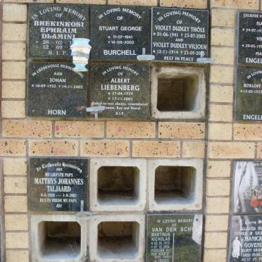 HORN :: LIEBENBERG :: VAN DER SCHYF :: TALJAARD :: THOLE :: VILJOEN